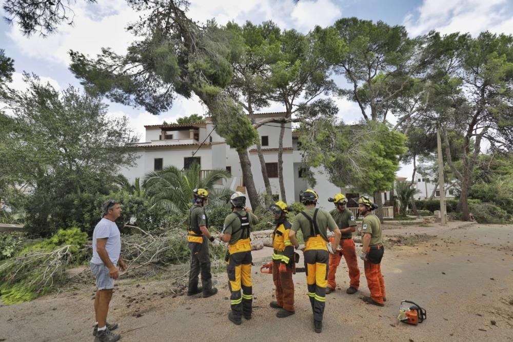Trabajos en las zonas más afectadas por la tormenta en Baleares