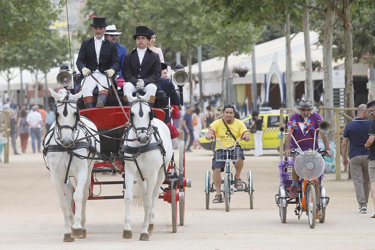 Martes de Feria en Córdoba