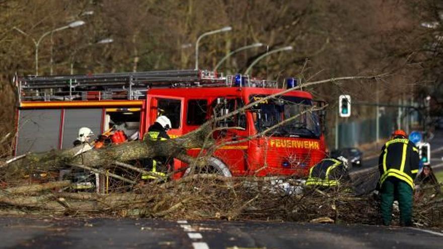 Els bombers intenten treure un arbre caigut en una carretera a Alemanya.