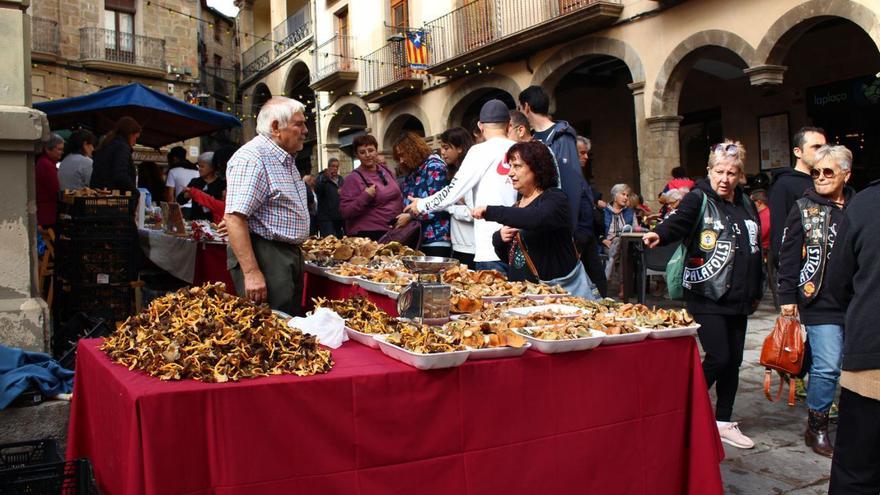 Solsona estrena el nou format de la fira del bolet i l’ecologia