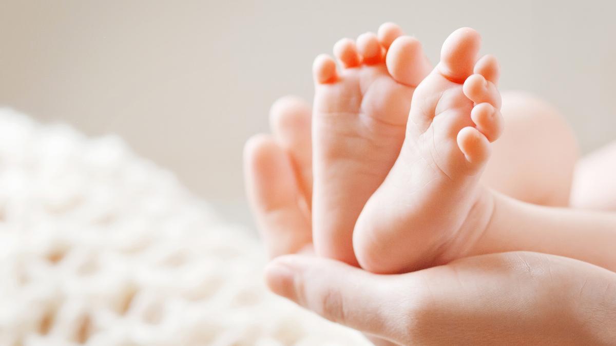 Los embarazos de gemelos han descendido un 11% en España.