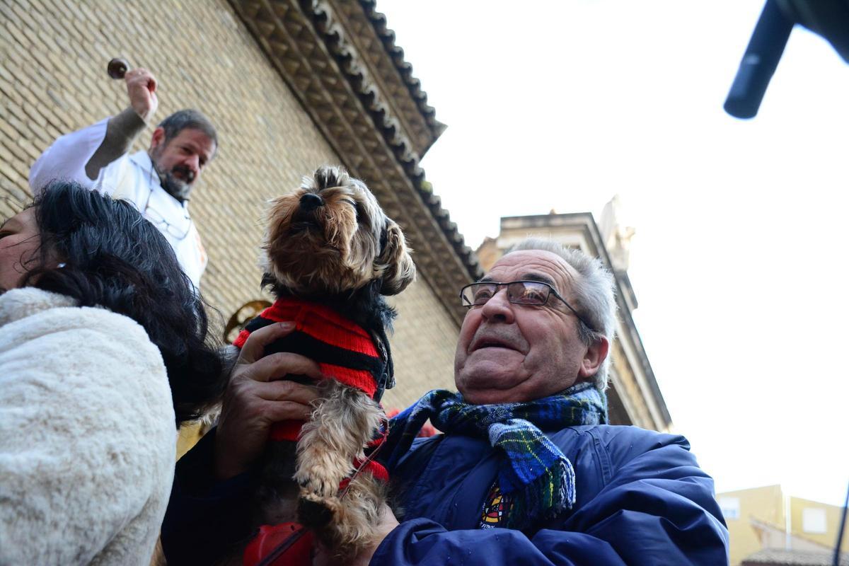 En imágenes | Bendición de los animales por San Antón en la iglesia de San Pablo