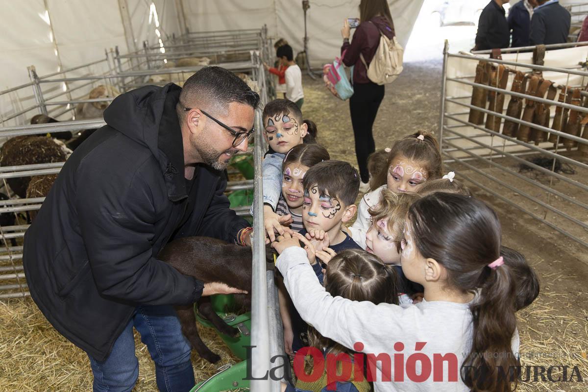 Así se ha vivido la IX Feria del Cordero Segureño celebraba en la pedanía caravaqueña de Archivel