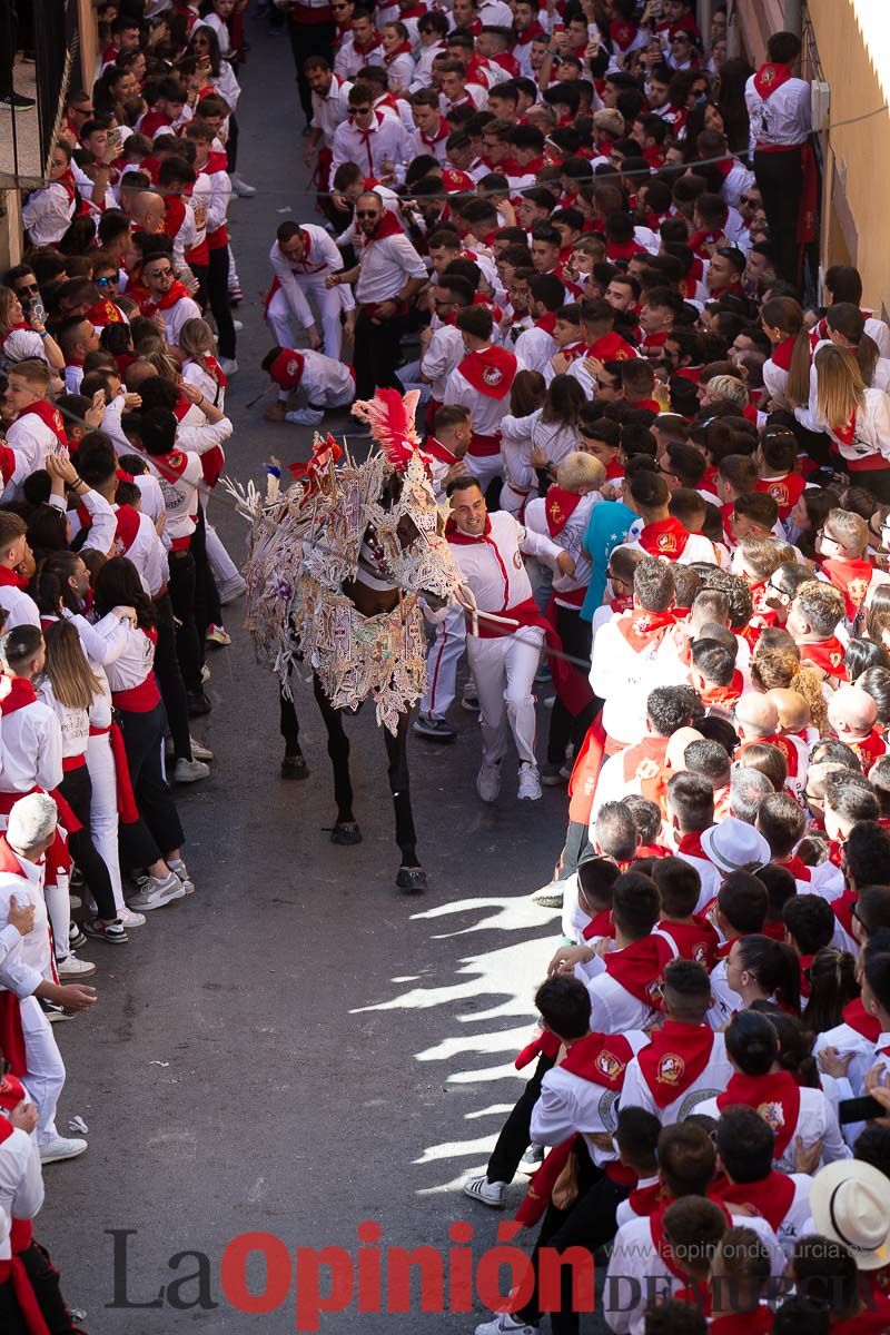 Caballos del Vino en la cuesta de la Simona