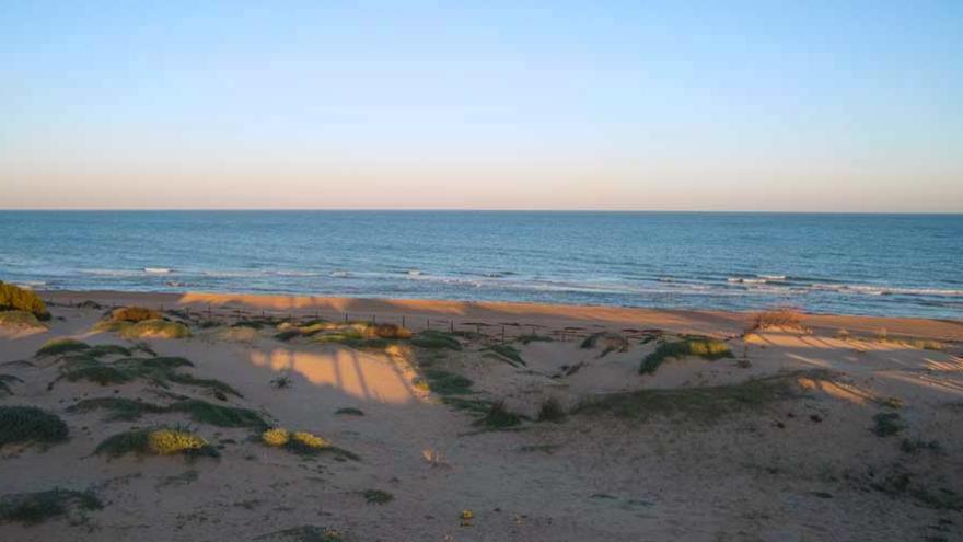 Playa El Camp en Guardamar del Segura