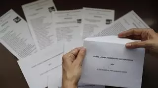 Resultados de las elecciones en el País Vasco 2024 por provincias, comarcas y municipios