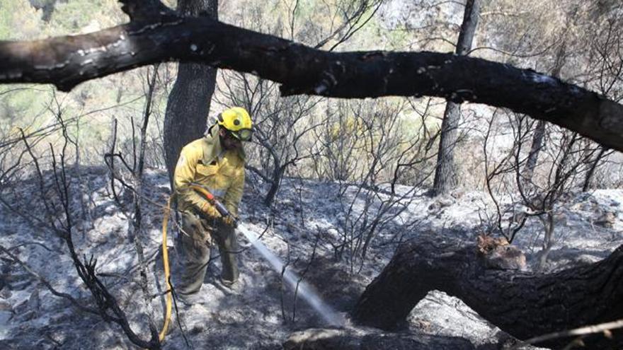 Un agente del Ibanat refresca la zona arrasada por el fuego.