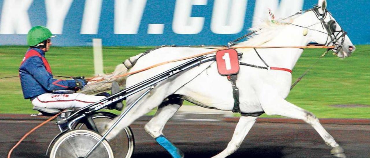 Miele d´Alfa, con Jean Michel Bazire, en París-Vincennes.