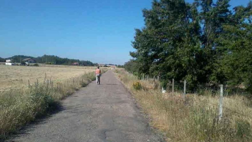 Carretera que une Morales con El Perdigón.