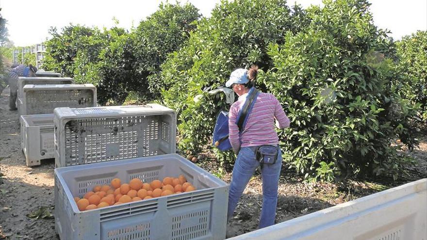 La venta de fincas agrarias sube el 30% en 2 años y concentra el sector