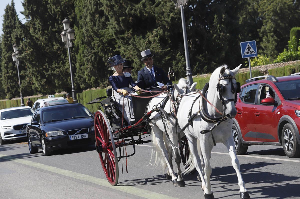 Concurso de atalaje de Córdoba en Cabalcor