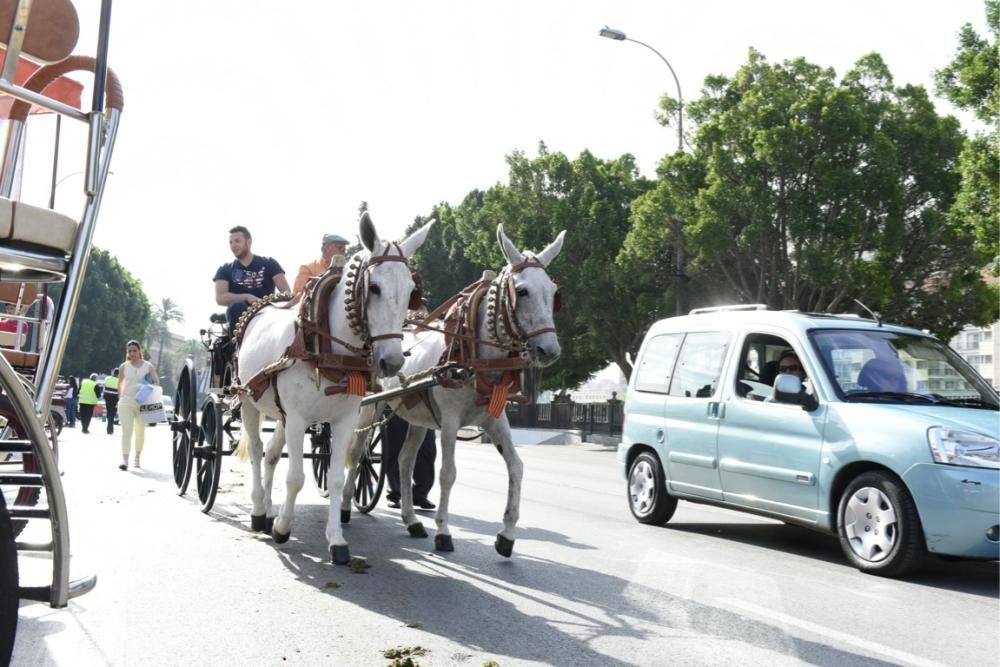 Ruta en carro al corazón de la Huerta