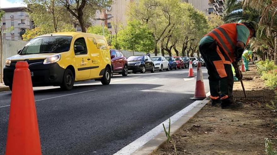 Virgen de Guadalupe ya presume de 681 plantas en su jardín