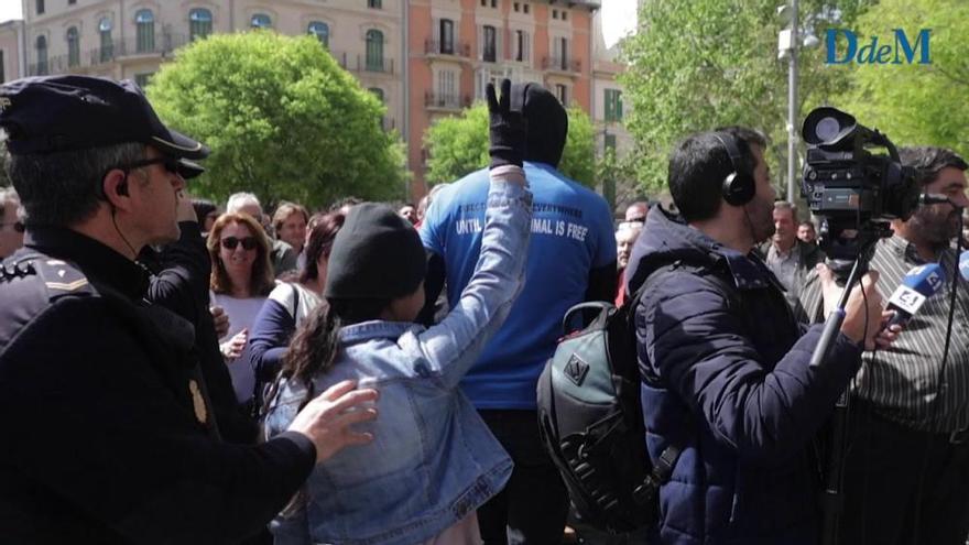 Tensión con animalistas en el inicio de la manifestación a favor de la caza en Palma