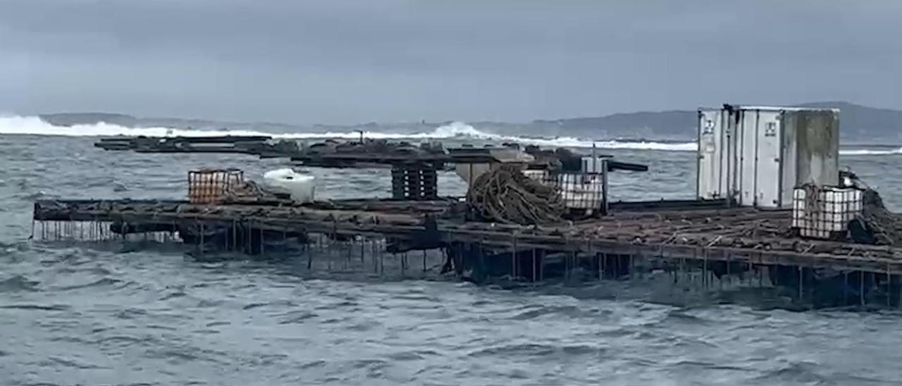 La borrasca Babet zarandea las bateas gallegas