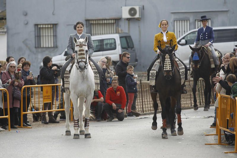 Benidición de animales en la Ermita de Vera y en la Punta