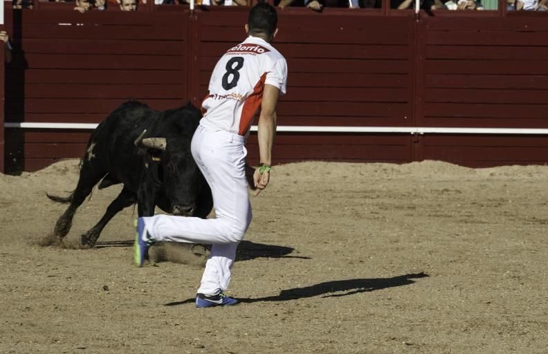 Concurso de cortes en la Plaza de Toros de Benaven