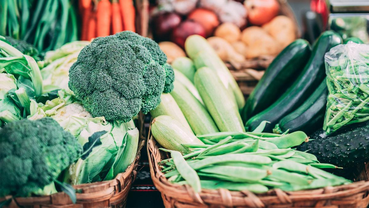 Verduras beneficiosas para nuestras mascotas