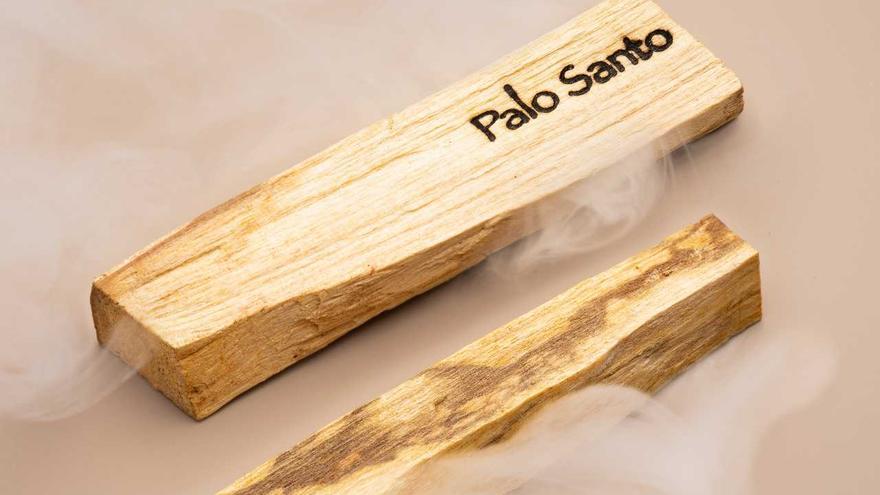 Palo Santo: qué es y para qué se usa