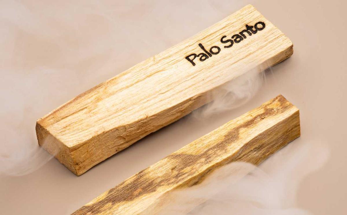 Palo Santo, la madera sagrada que tiene múltiples usos