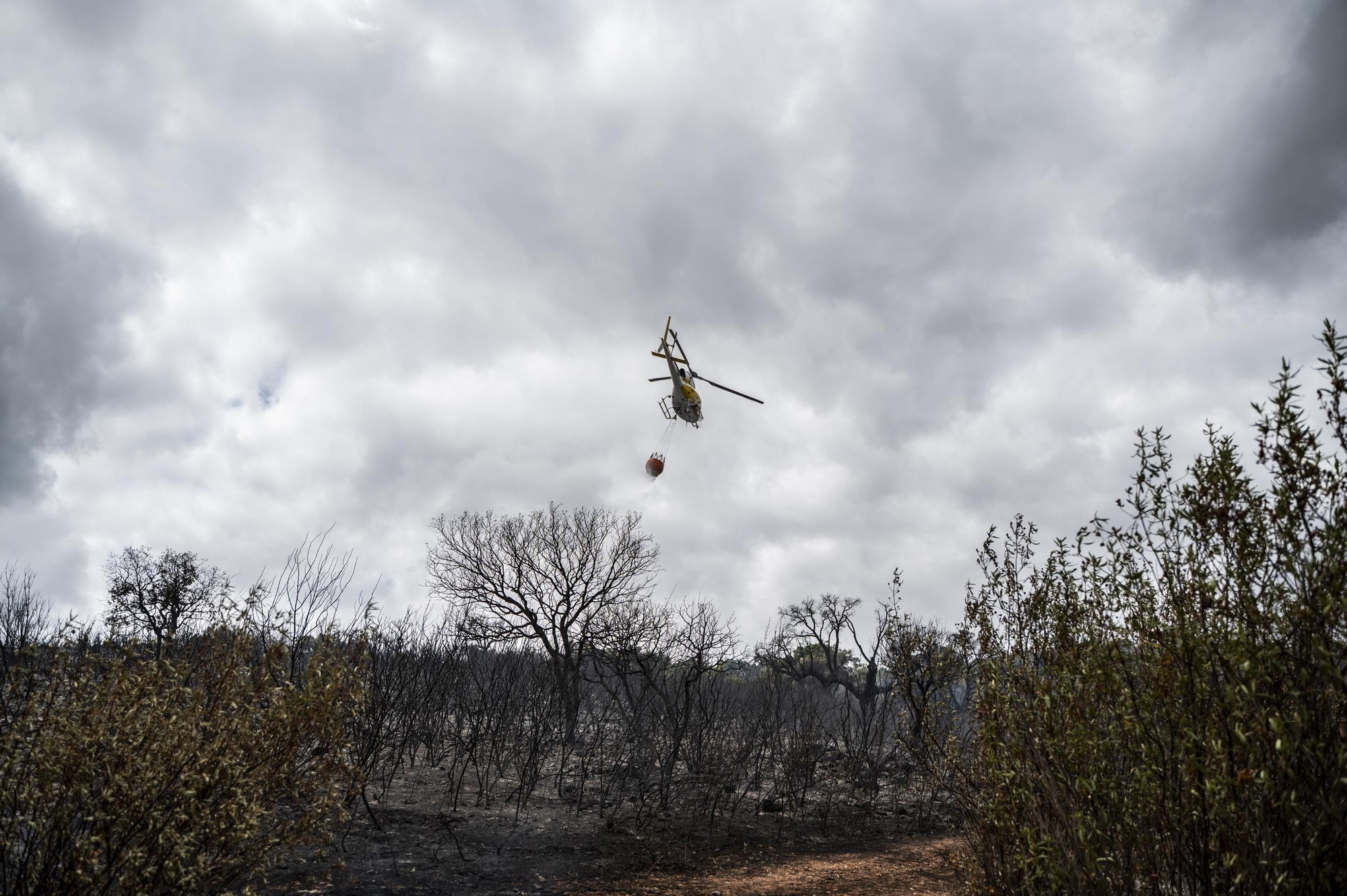 Las imágenes del incendio de este viernes en Cáceres