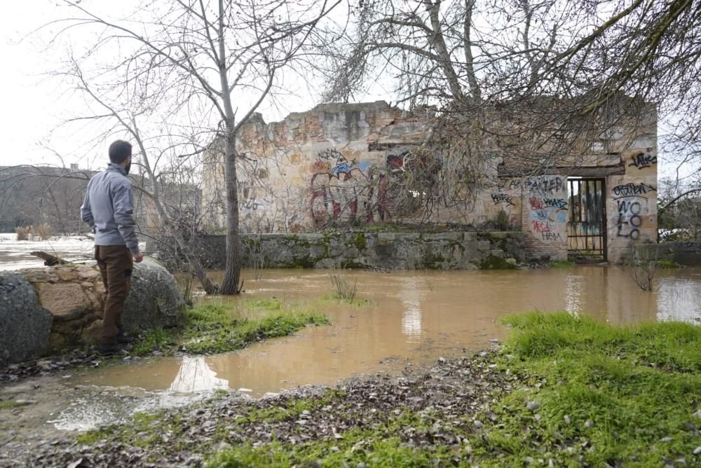 El río Duero a su paso por Zamora capital.