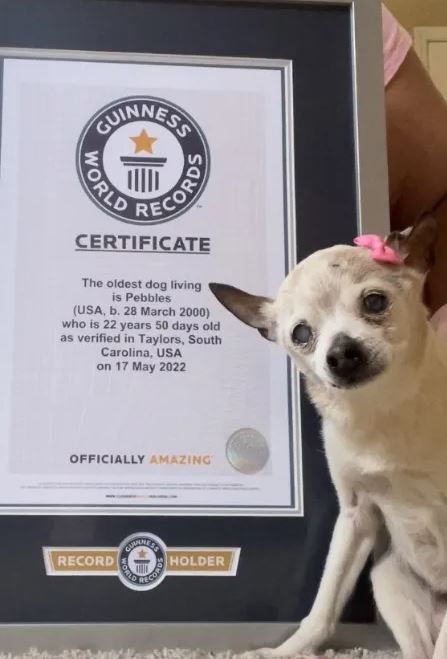Pebbles posa con su certificado de récord