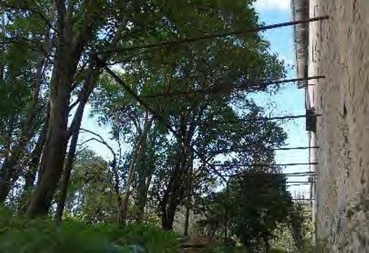 Espacio porticado con una estructura metálica situado en el jardín del Palau dels Bellvís de Benissuera.