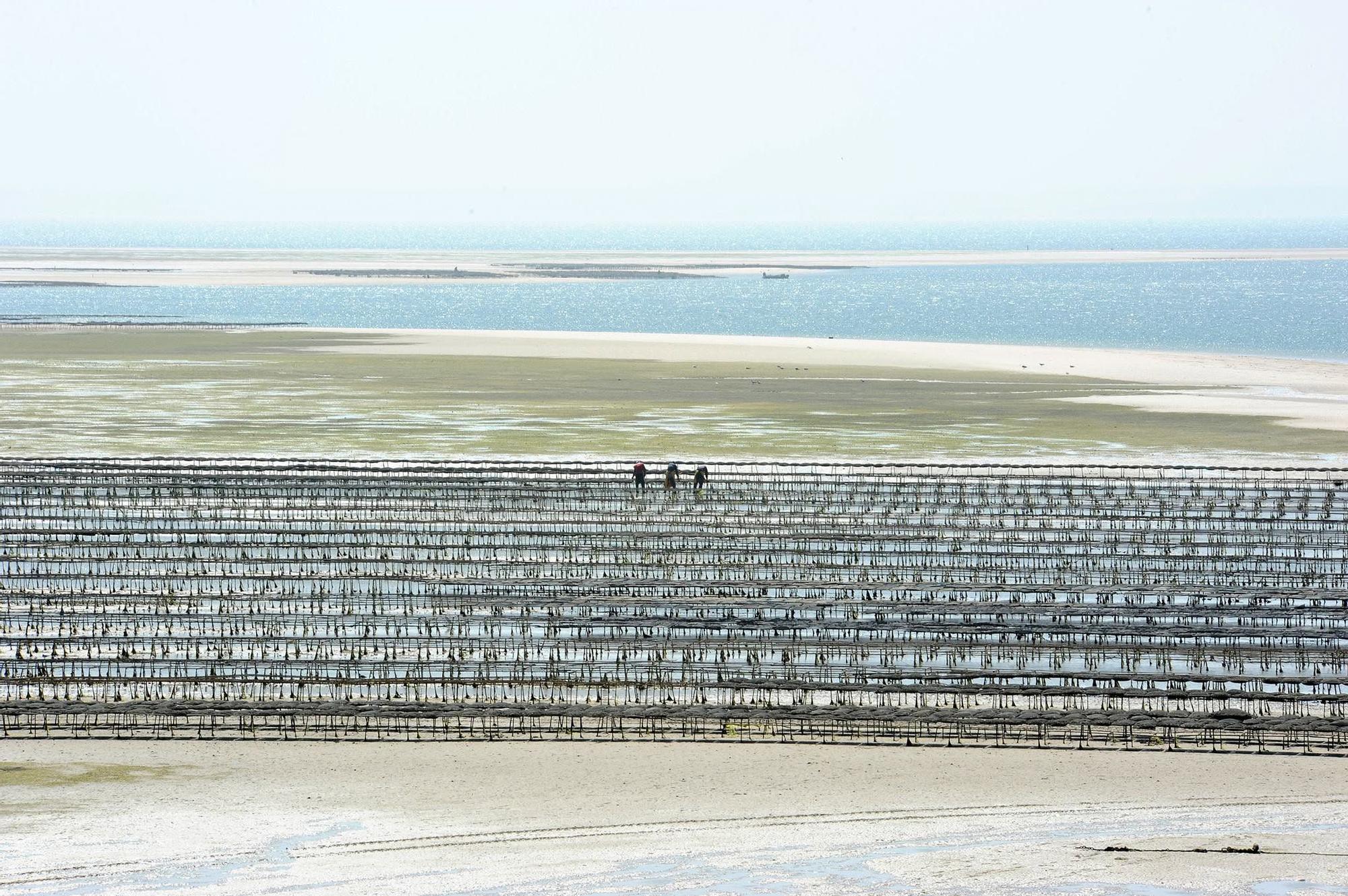 Instalaciones de la firma Azura Atlantic en la costa norte de Marruecos.