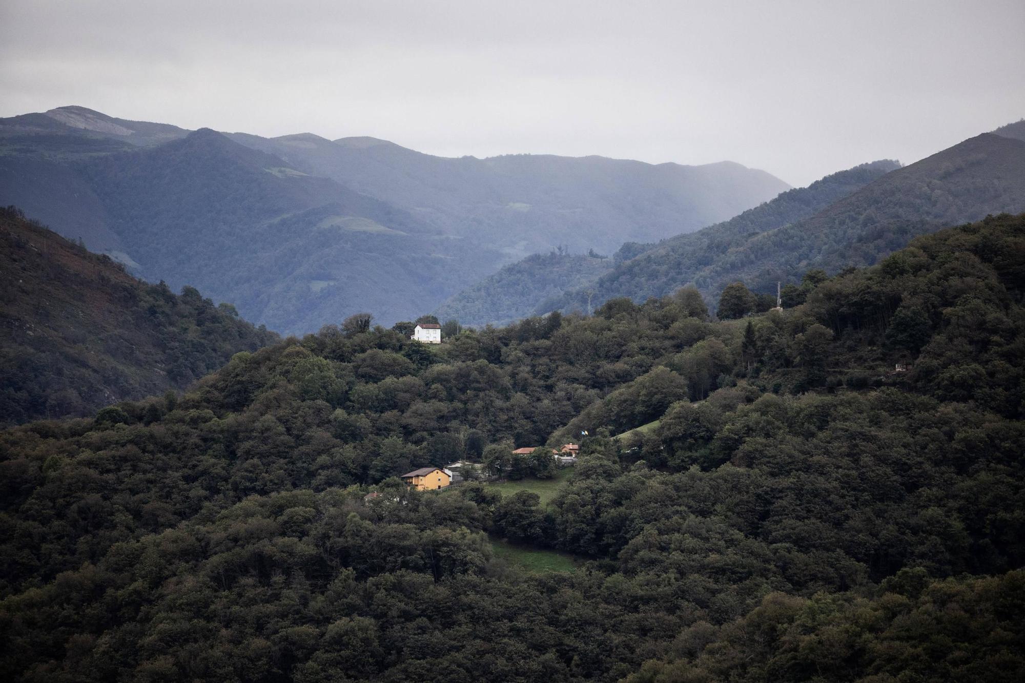 Asturianos en Aller: un recorrido por el municipio