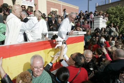 Las mascotas toman la plaza de San Antón de Cartagena