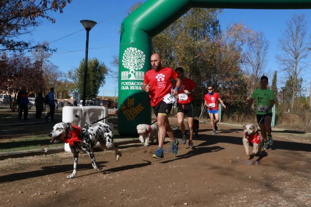 Así ha sido la Doggie Race en Benavente