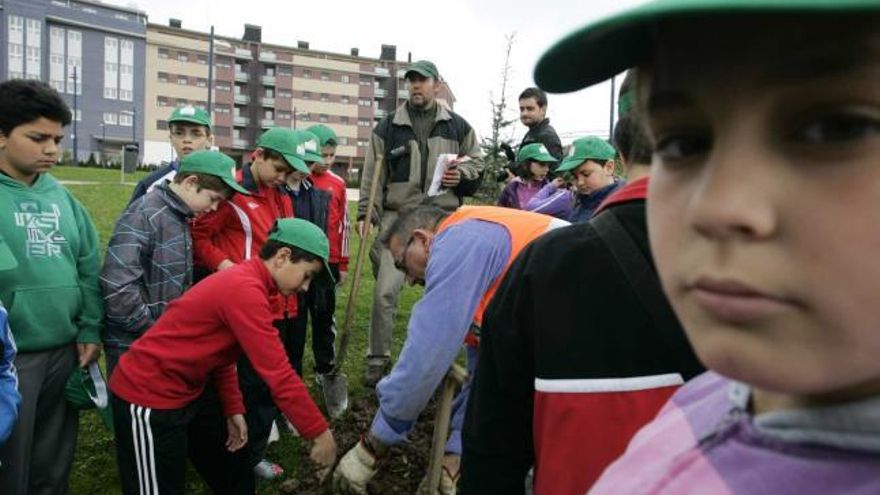 Un grupo de niños del Colegio Enrique Alonso, ayer, en la nueva área residencial de La Magdalena plantando árboles.