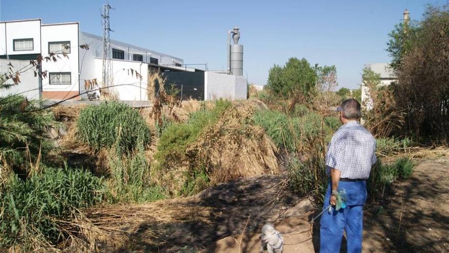 El Ayuntamiento propone a la Confederación intervenir en el río