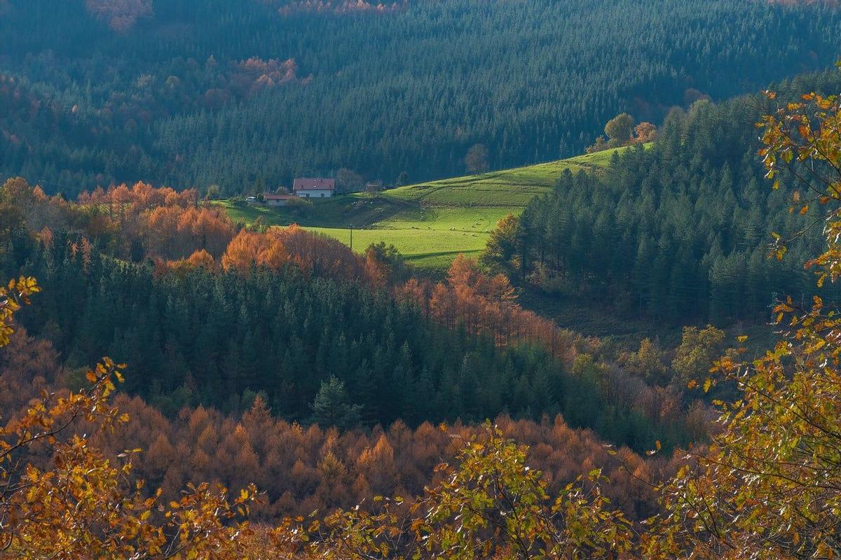 AIZKORRI-ARATZ, ÁLAVA