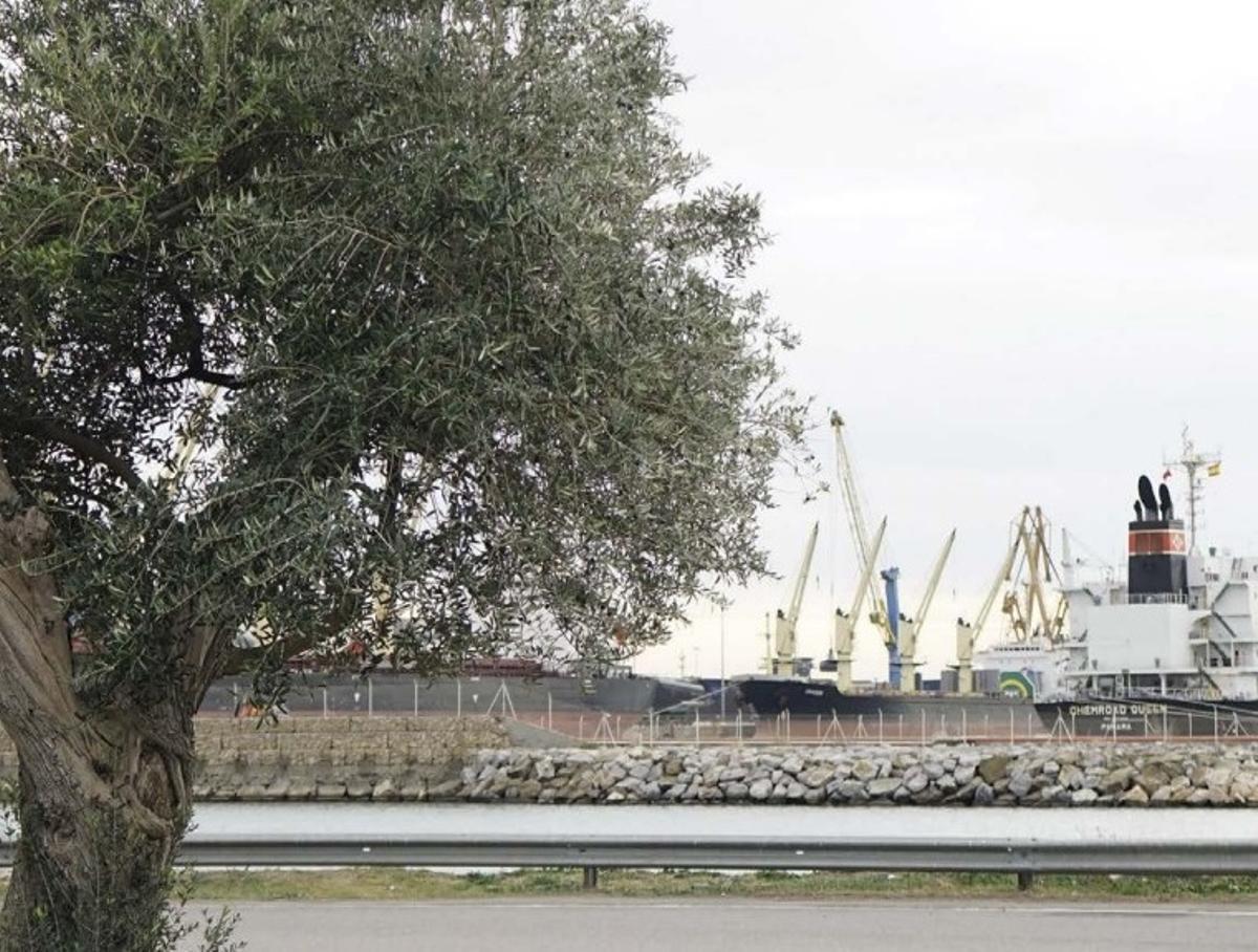 El Port de Tarragona se integra en la Alianza Net Zero MAR para promover las tecnologías limpias en la industria marítima y portuaria