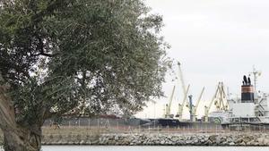 Imagen de las inmediaciones del Port de Tarragona