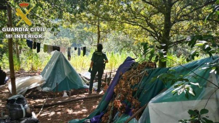 En Pedre, los vigilantes del cultivo masivo de cannabis vivían y lo vigilaban en un campamento.  // GUARDIA CIVIL