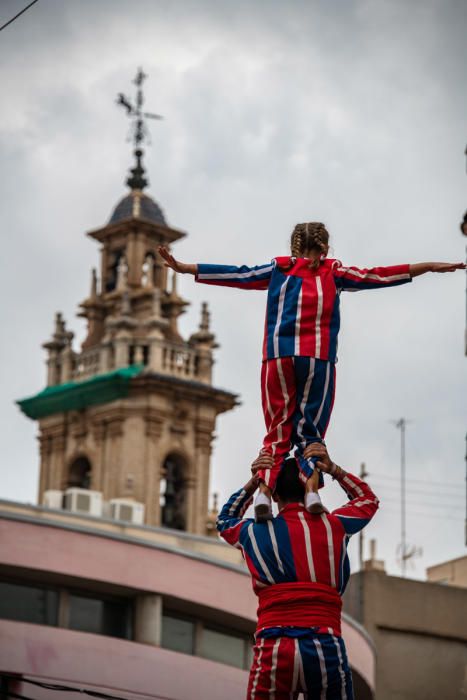 Festes de la Mare de Déu de la Salut de Algemesí