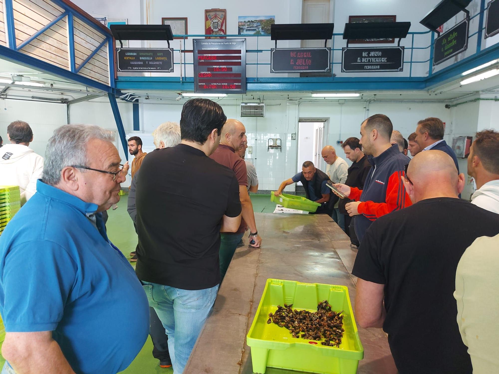 En imágenes: La primera subasta de percebe de la temporada en la rula de Puerto de Vega