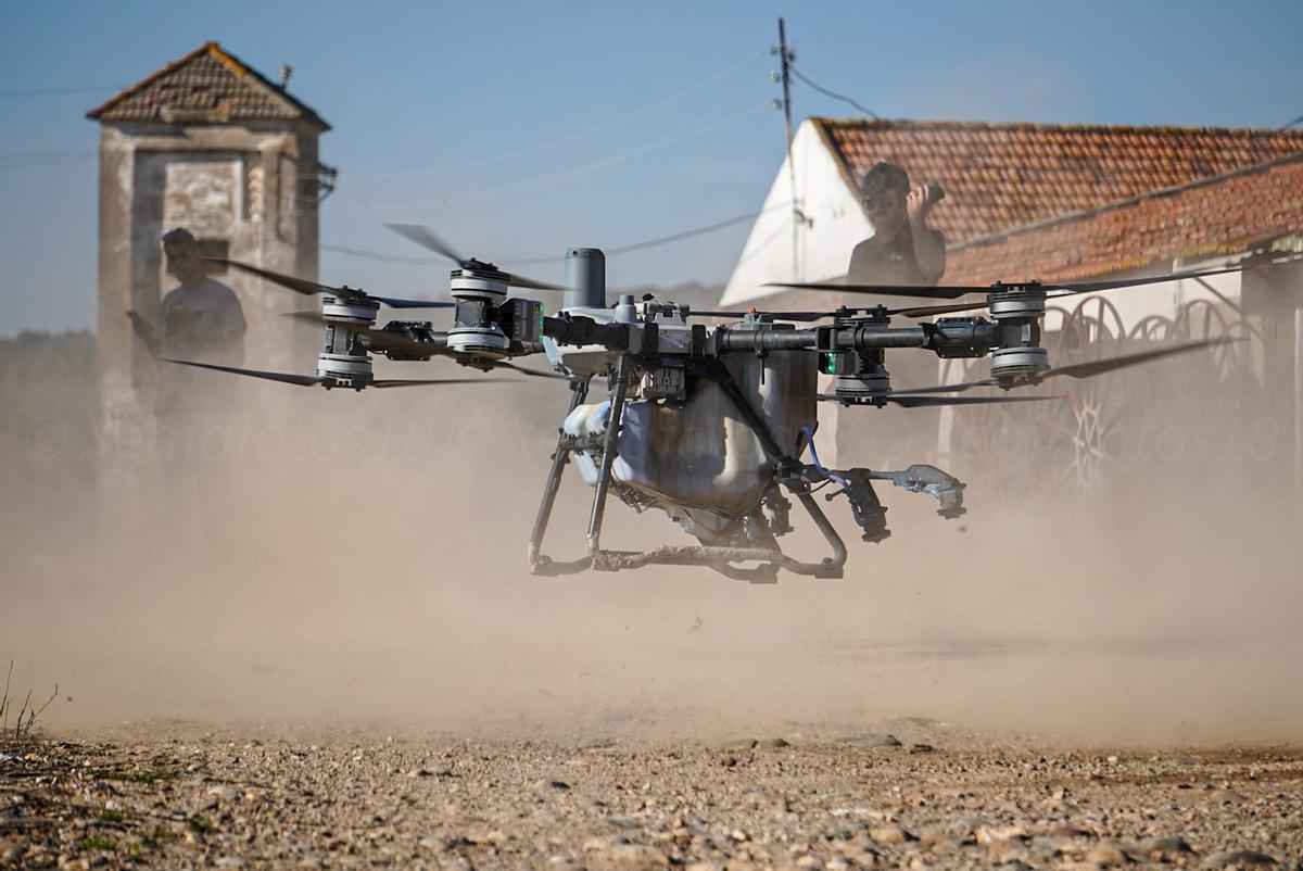 Imagen del dron con el que se expandieron las semillas.