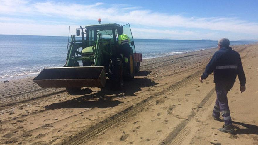 Una grúa realiza labores de mejora en la playa de San Pedro.