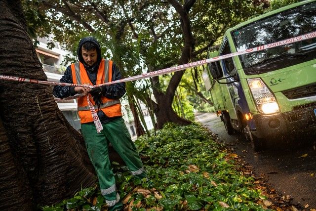 Efectos de la tormenta 'Hermine' en Tenerife