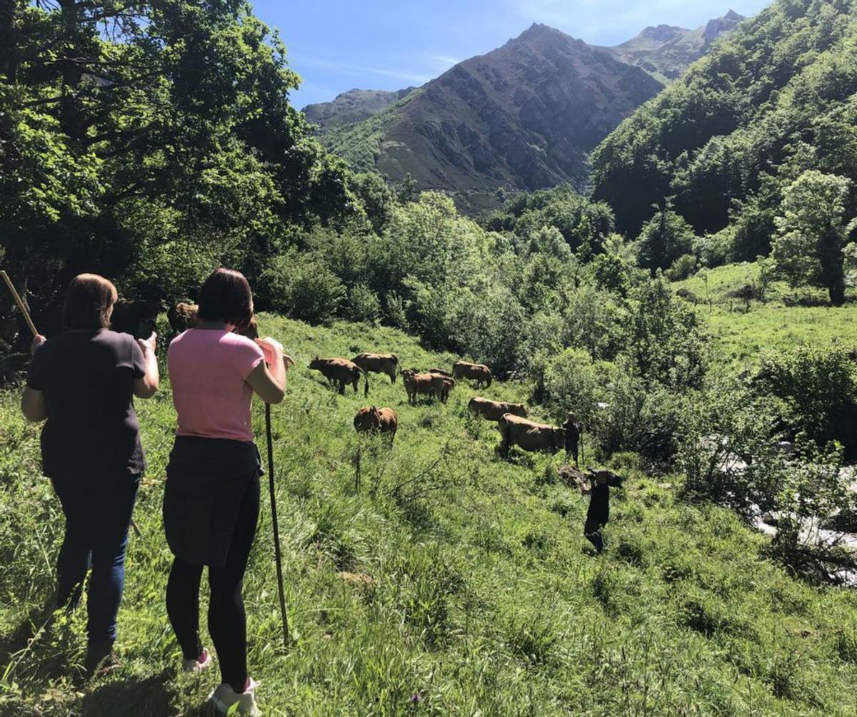 Mujeres ganaderas en Asturias.