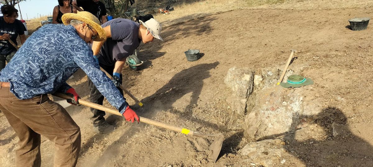 Voluntarios ayudando a los arqueólogos