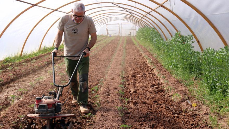 Petits productors d&#039;Osona i el Bages s&#039;alien per fer més viable la sobirania alimentària