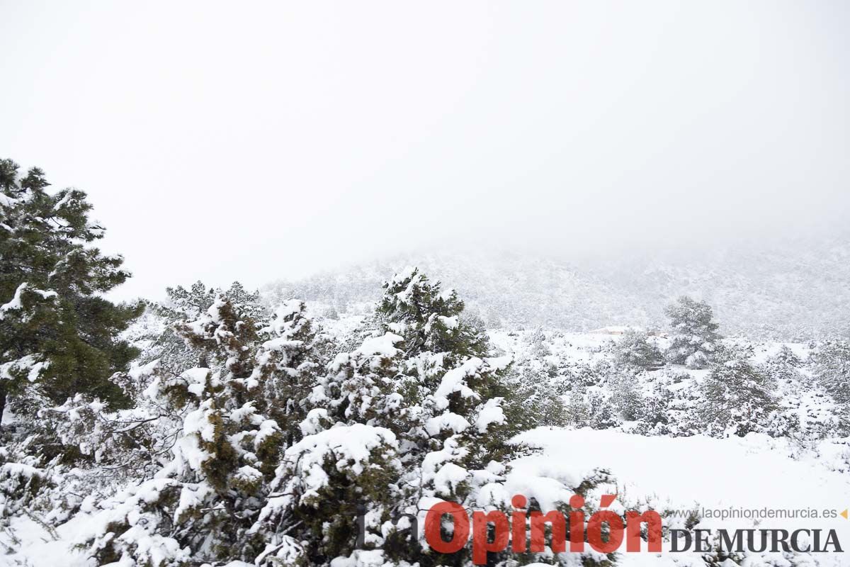 Continúa la nevada en las zonas altas de la comarca del Noroeste