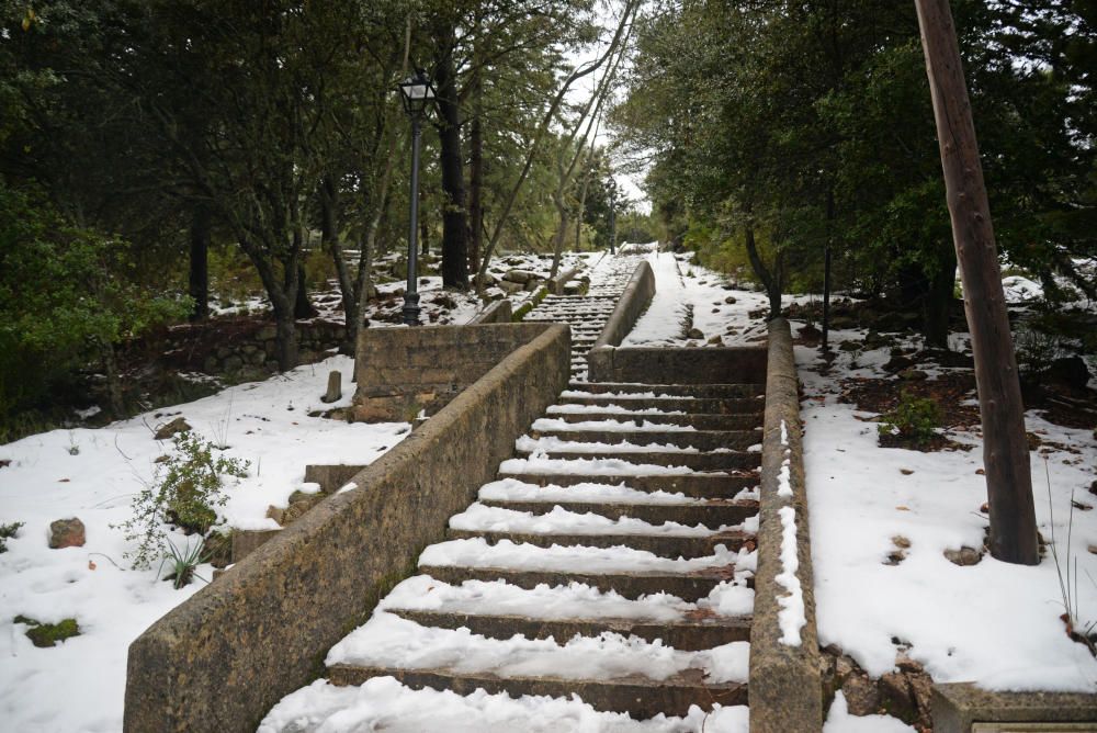 Los mallorquines salen a jugar con la nieve