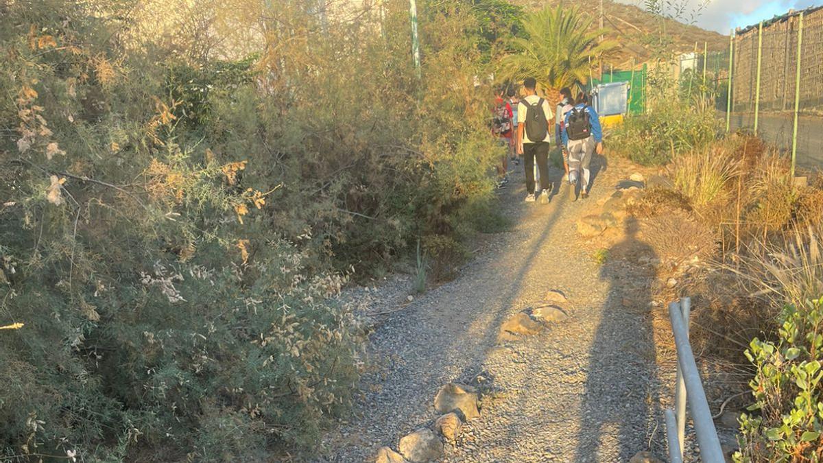 Alumnos de Veterinaria caminan por el sendero que les da acceso a la Facultad.