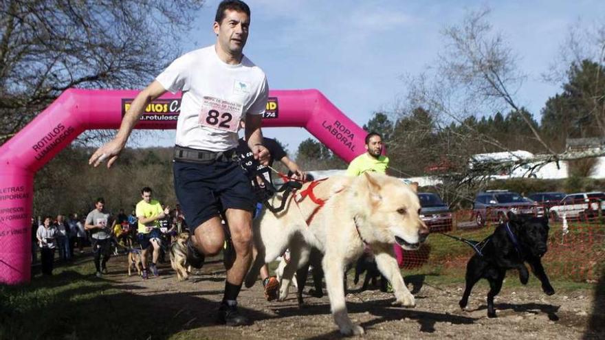 El tercer clasificado de la carrera popular, corriendo con su &quot;Can de palleiro&quot;. // Bernabé /Luismy